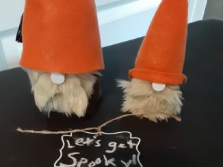 Halloween Gnomes