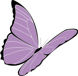 purple butterfly