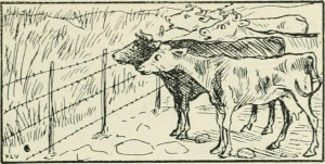Image from page 54 of "The up-to-date primer : a first book of lessons for little political economists ; in words of one syllable with pictures" (1896)